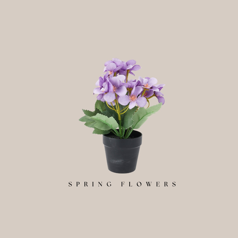 Potted Flower - Light Purple