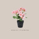 Potted Flower -Soft Pink