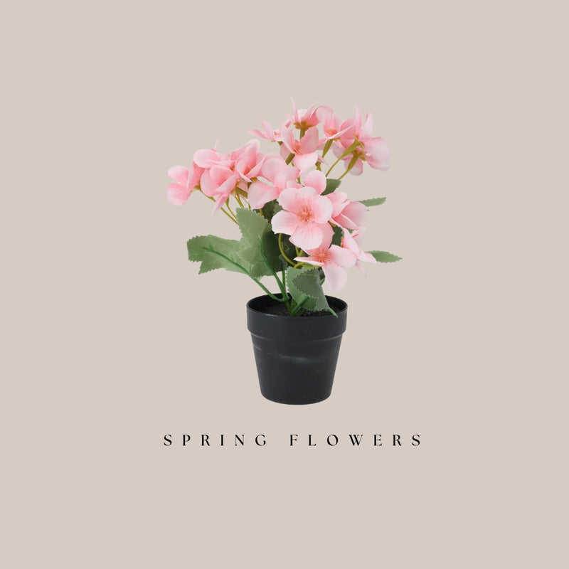 Potted Flower -Soft Pink