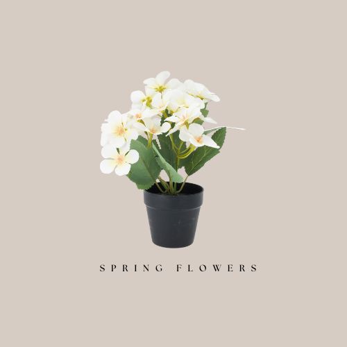 Potted Flower - White