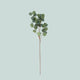 Stem - Artificial Flower - Leaf