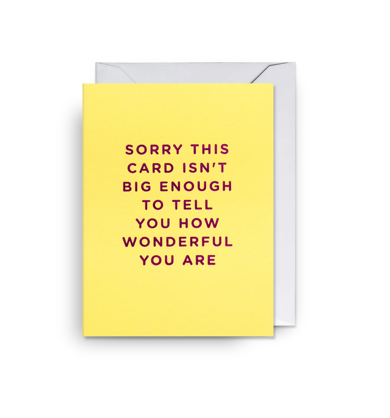 Card - Sorry this Card isnt Big Enough