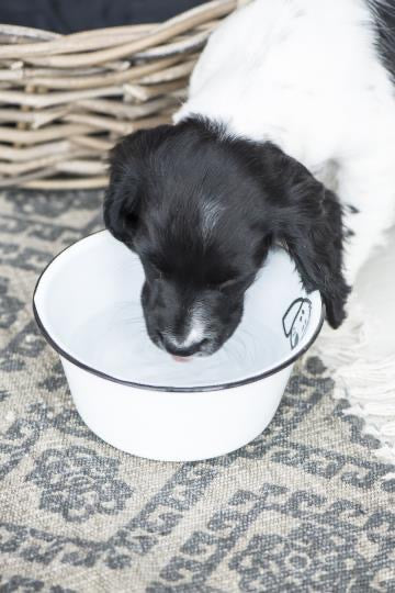 Dog Bowl - Enamel - Small - White