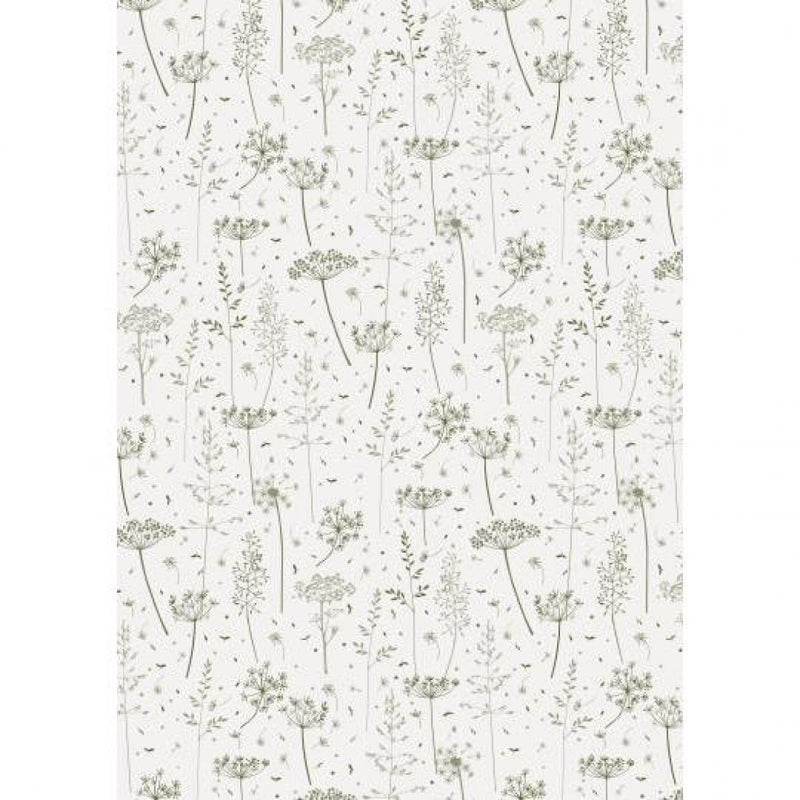 Gift Wrap - 5 Mtr - Everyday