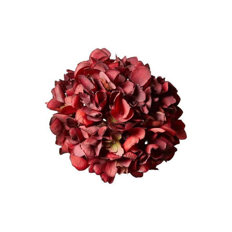 Hydrangea Flower Head - D17cm - Burgundy