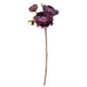 Ranunculus Flower Stem - L43cm - Dark Purple