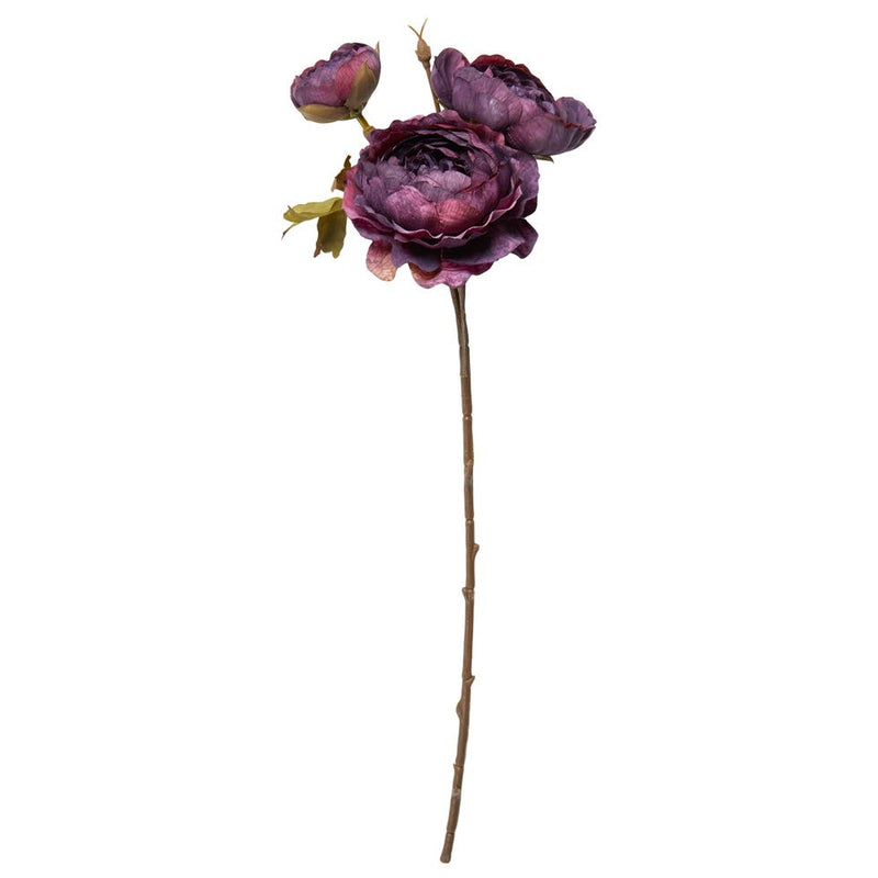 Ranunculus Flower Stem - L43cm - Dark Purple