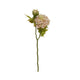 Peony Stem - L65cm - Creme