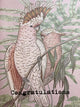 Greeting Card - Pink Parrot