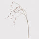 Brown Pom Pom Willlow Spray