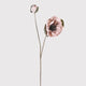 DustyPink Poppy Spray
