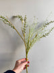 Flower Spray - Creme