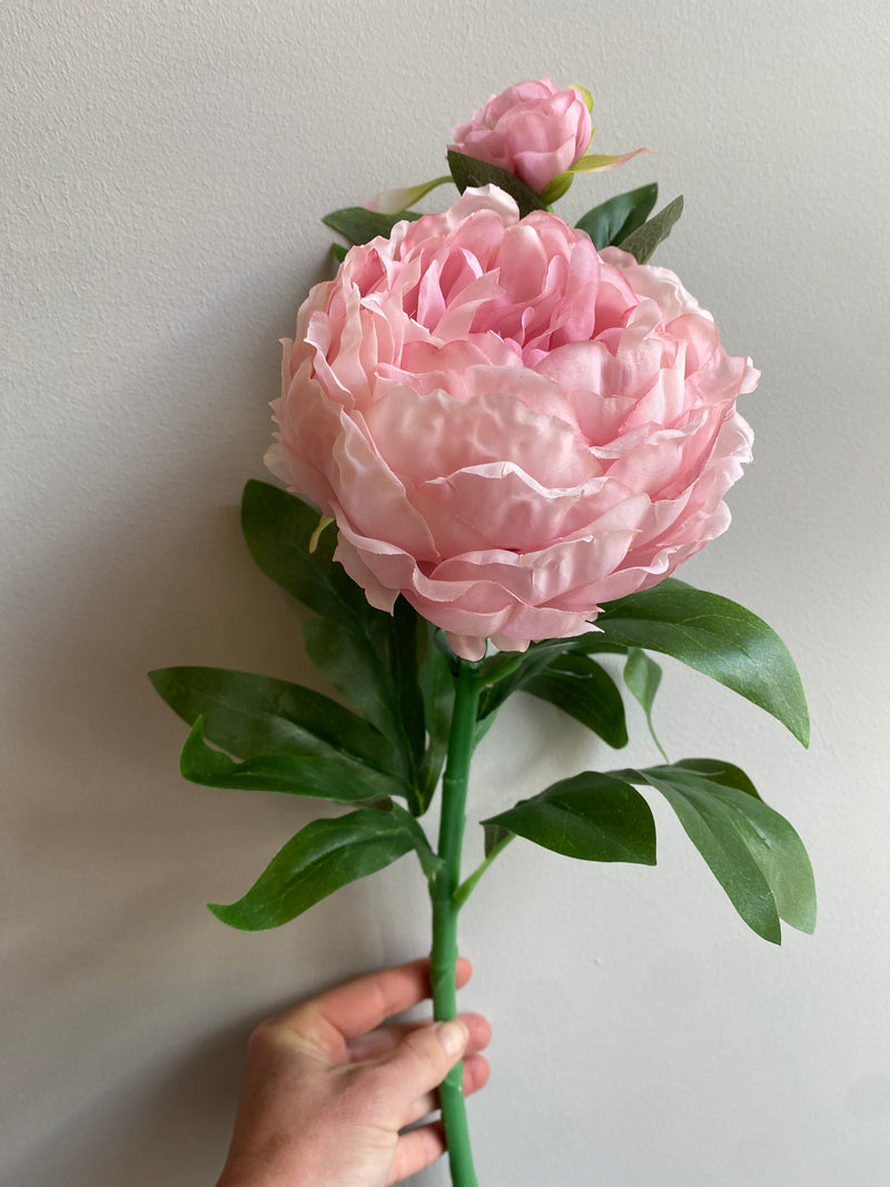 Peony Stem - L60cm - Light Pink