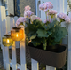 Geranium - Artificial Plant In Pot - Soft Pink