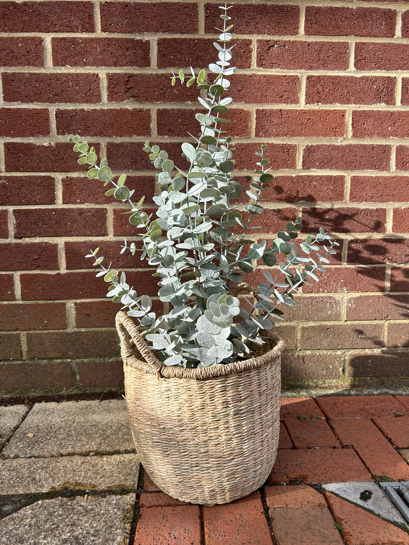 Basket With Handle - Seagrass