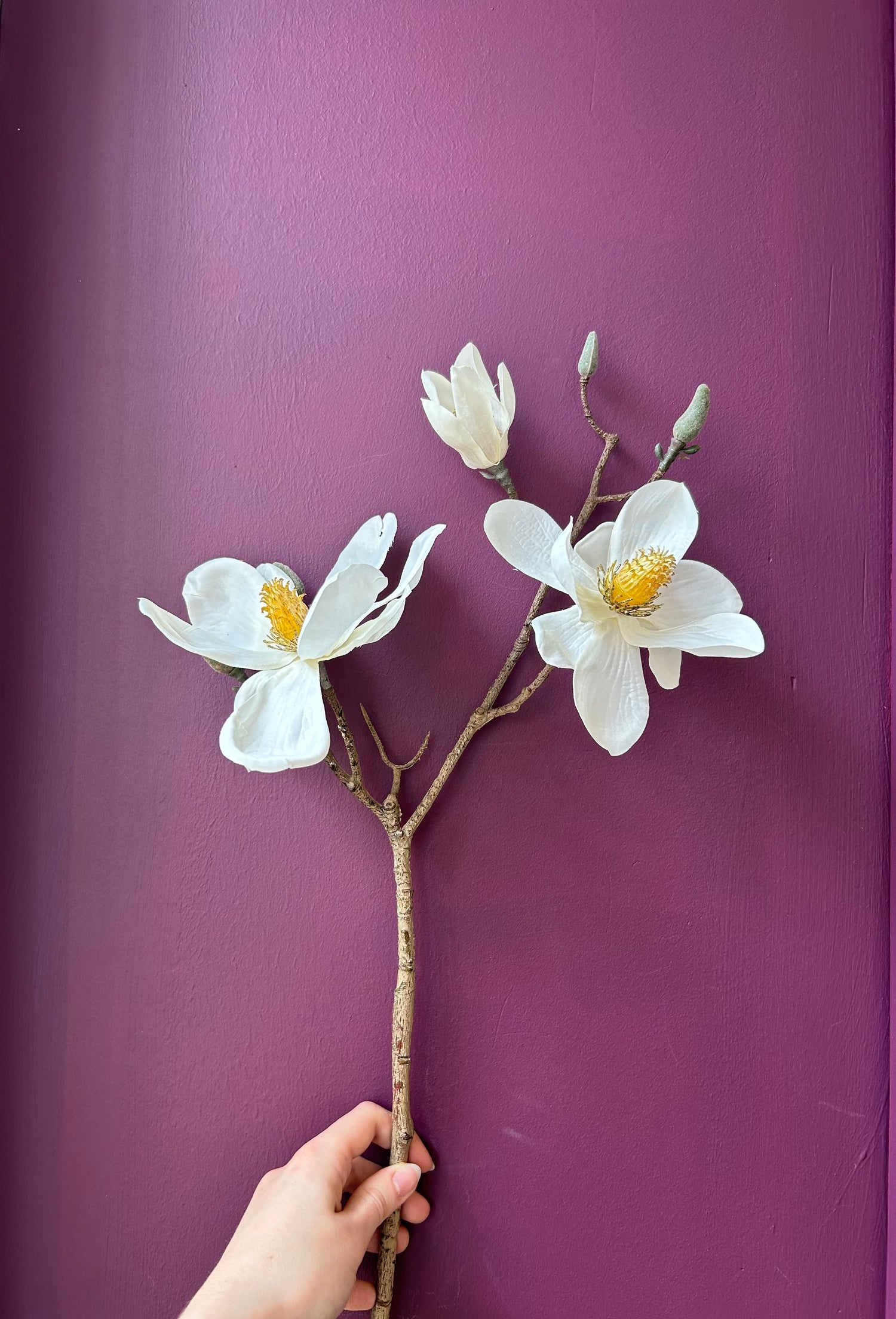 Magnolia Spray - White