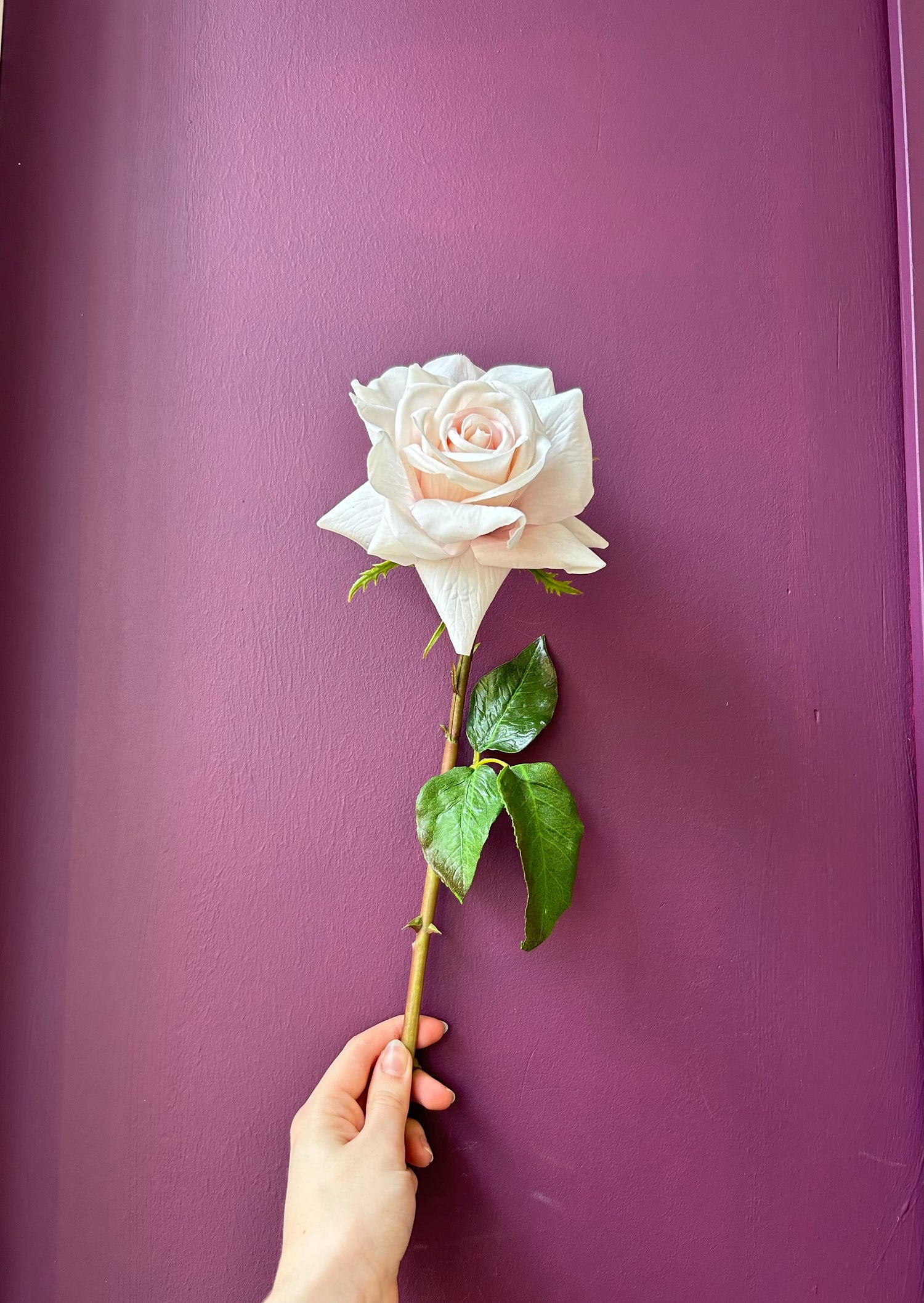 Rose Spray - Blush Rose
