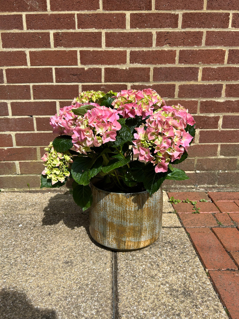 Planter - Bark - Ceramic