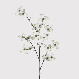 Touch Of Green Dogwood