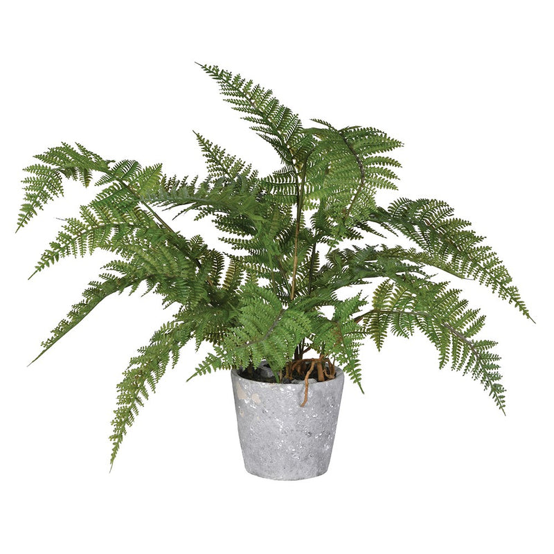 Faux Plant Green bracken in pot