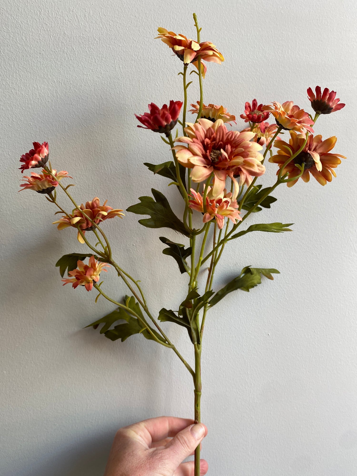 Daisy Mini - L72cm - Rust