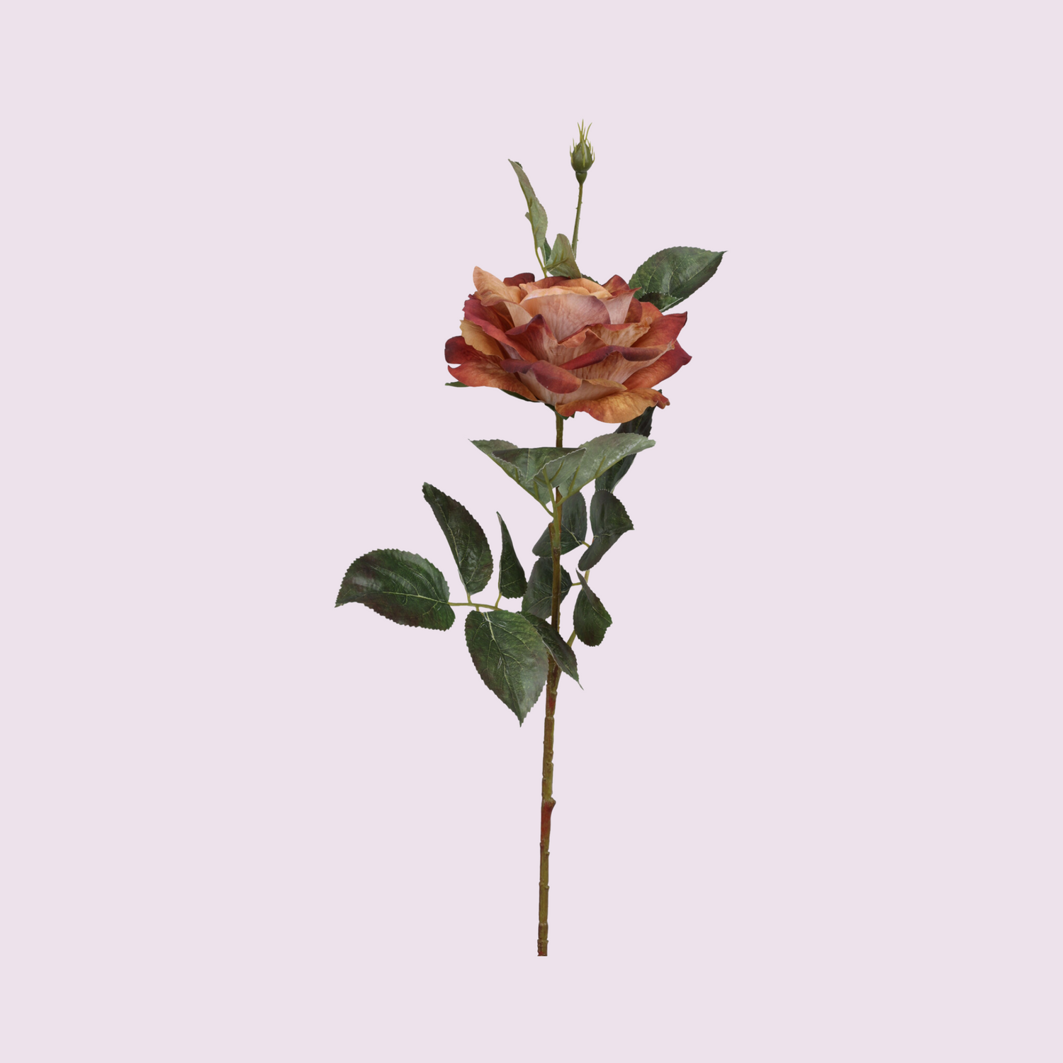 Stem - Artificial Flower - Rose - Blush