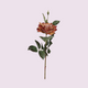 Stem - Artificial Flower - Rose - Blush
