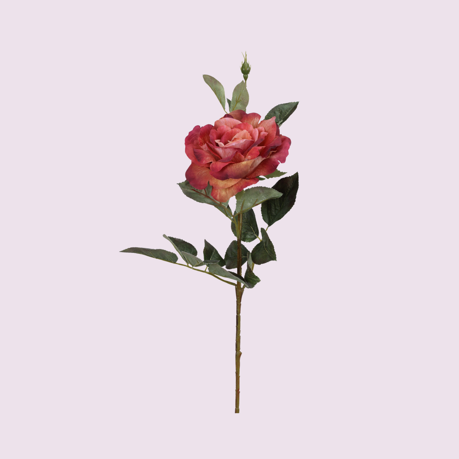 Stem - Artificial Flower - Rose - Coral