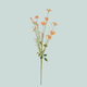 Stem - Artificial Flower - Orange