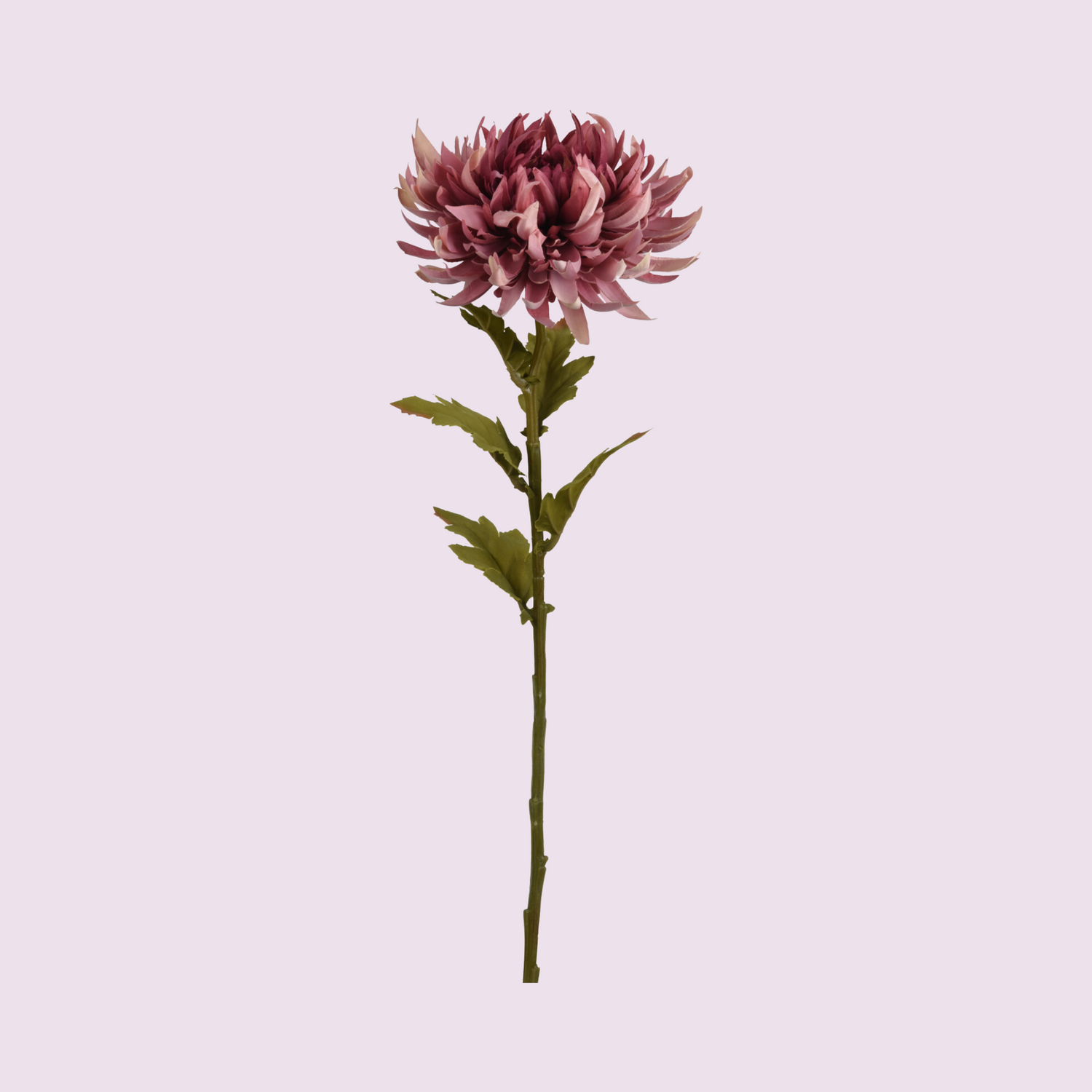 Stem - Artificial Flower - Chrysanthemum - Dark Blush Pink