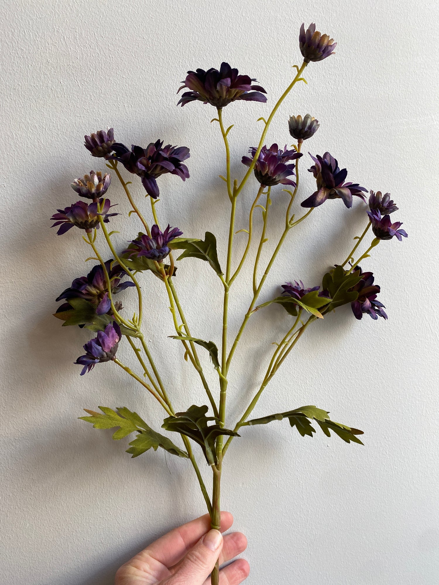 Daisy Mini - L72cm - Purple