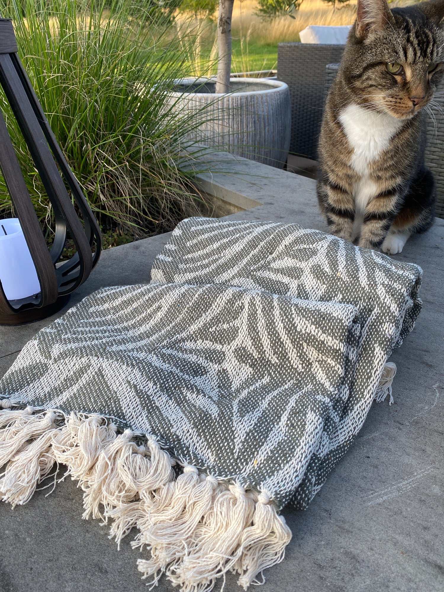 Throw  -  Dark Green