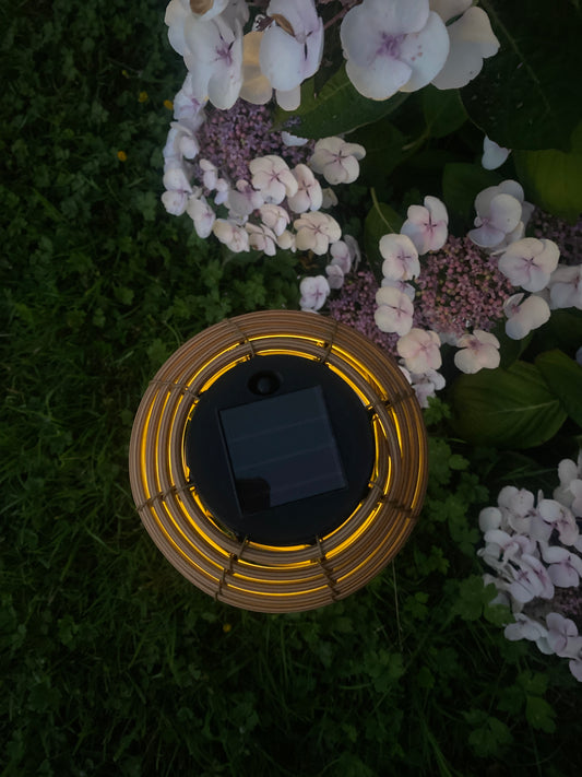 Lantern - Natural Colour - Solar - With Spike