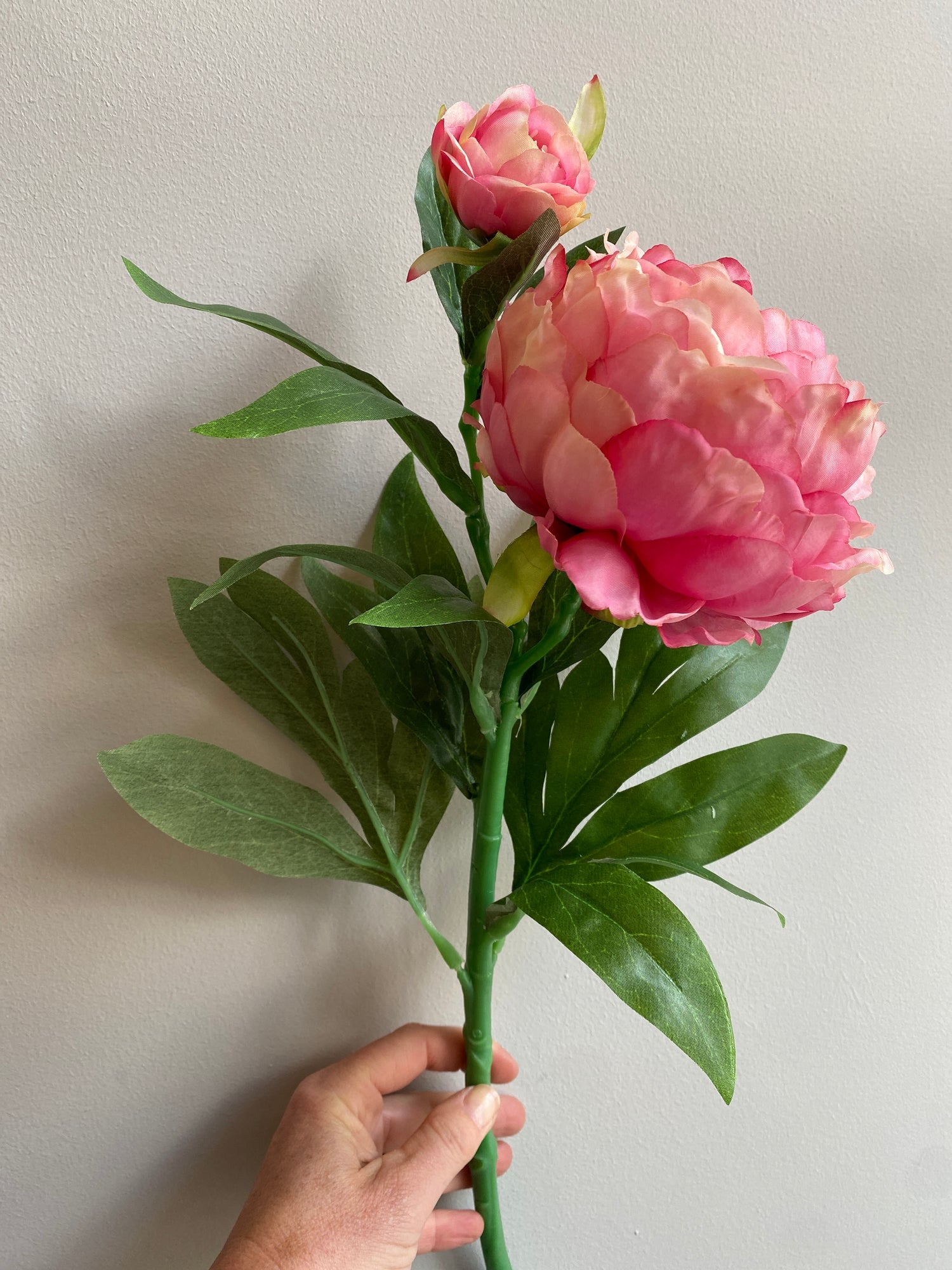 Peony Stem - L60cm - Dark Pink
