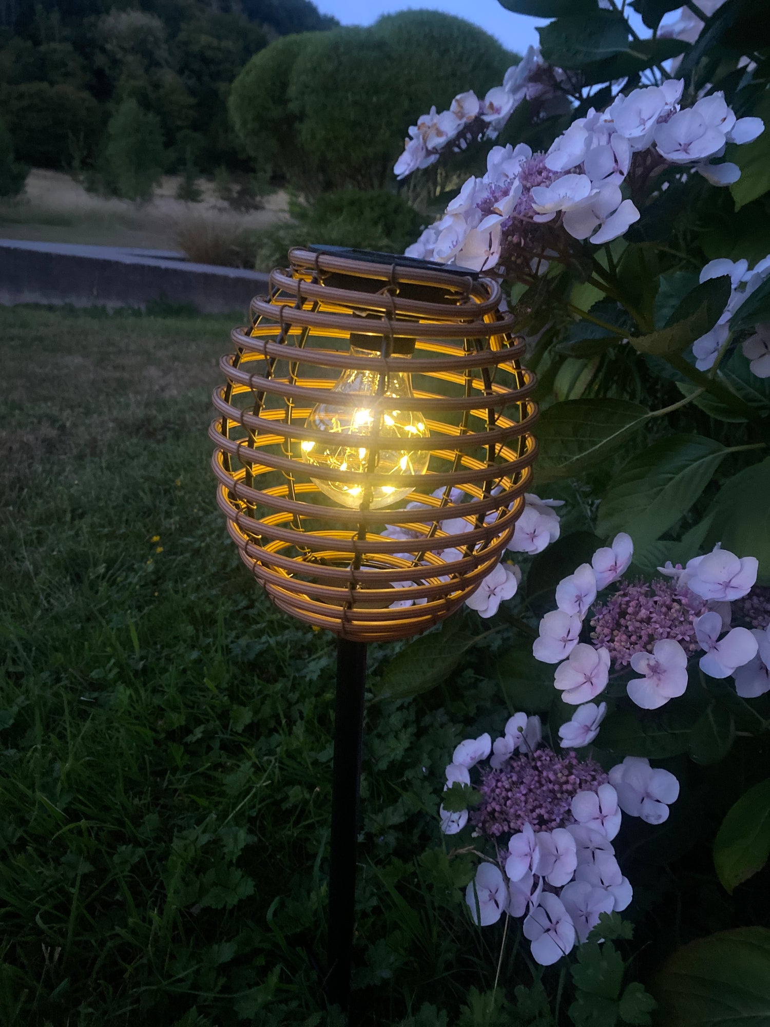 Lantern - Natural Colour - Solar - With Spike