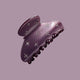 Hair Claw - CAMBRIDGE - Purple