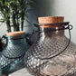 Wasp Trap - Glass - Blue