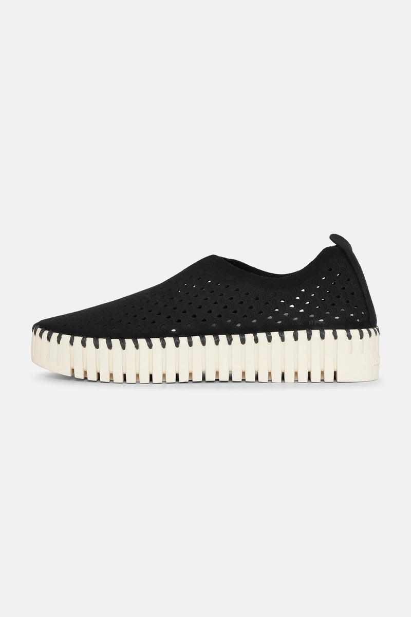 Deck Shoe Tulip 3373 Plateau - Black - LB