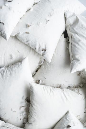 Cushion - Infill 50x50cm