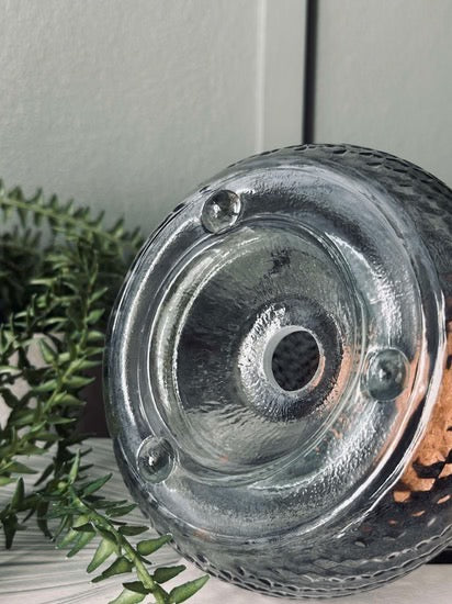 Wasp Trap - Glass - Blue