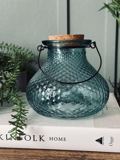 Wasp Trap - Glass - Blue