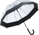 Umbrella -  Clear With Black Trim
