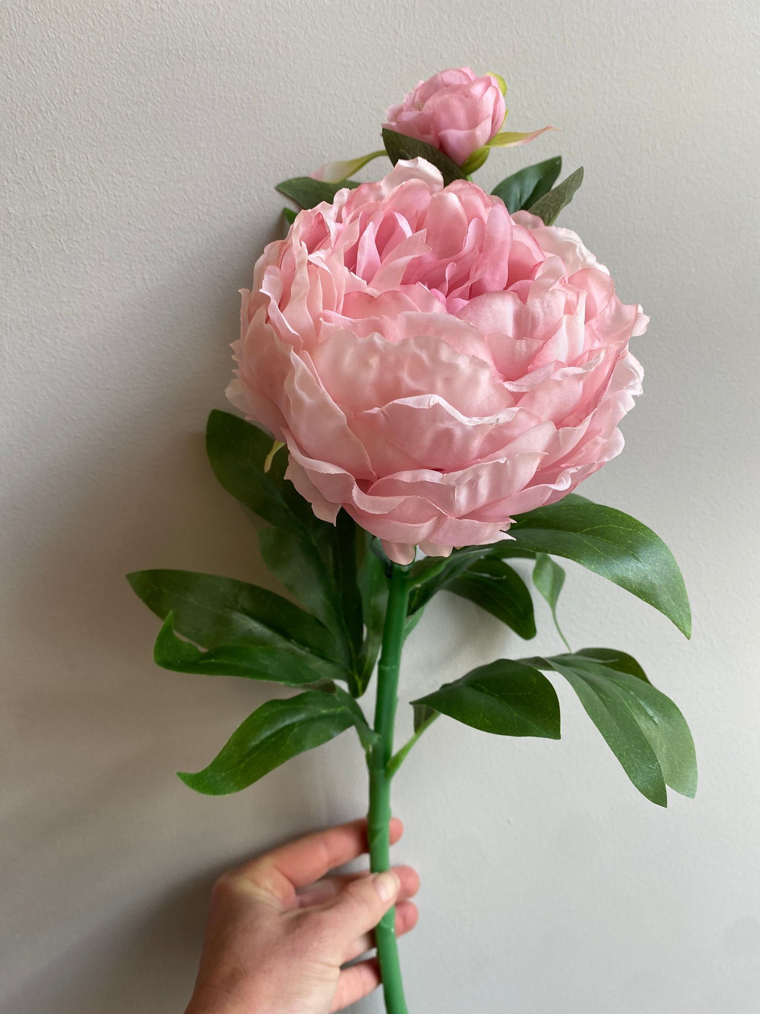 Peony Stem - L60cm - Light Pink