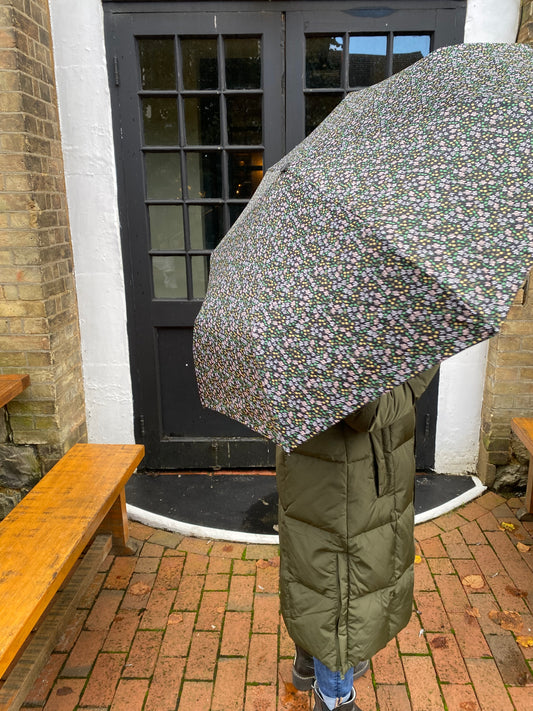 Umbrella - Flowers - Pink, Blue & Green