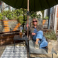 Sun Lounger - Green