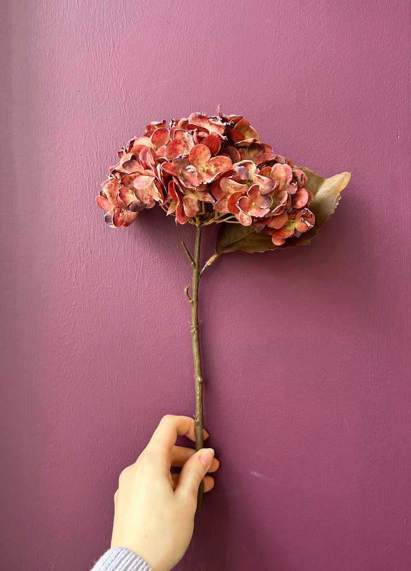 Hydrangea Stem - Burgundy