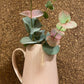 Jug with Handle - Rose