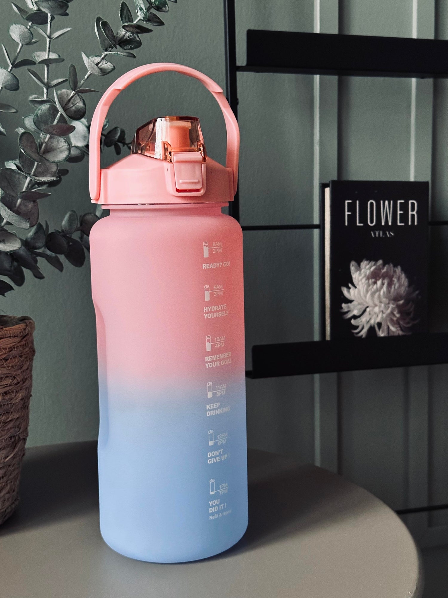 Sports Drinking Bottle - EVERYDAY - XXXL - 2000ML - Blue/Pink