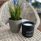 Citronella and Sea Salt Candle - Outdoor