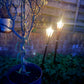 Citronella Torch - Outdoor